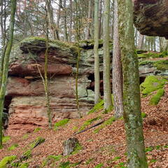 IMG 20190118 103527935 HDR